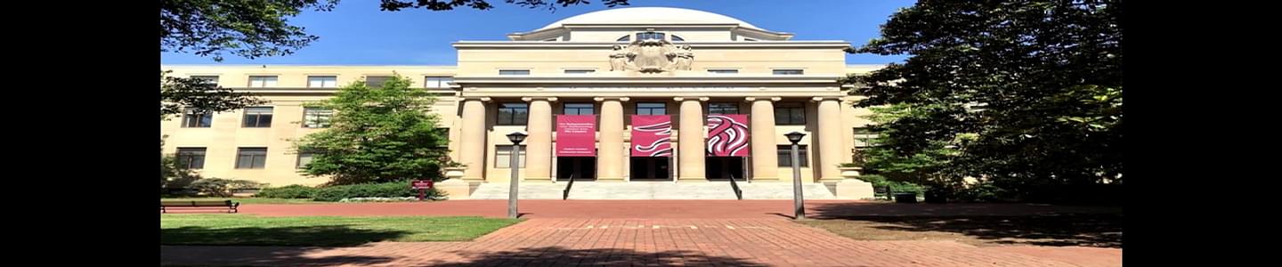 University of South Carolina banner